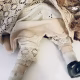 Doll with decayed silk dress.