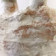 Skeletal torso sculpture detail