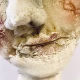 Skeletal torso sculpture face detail