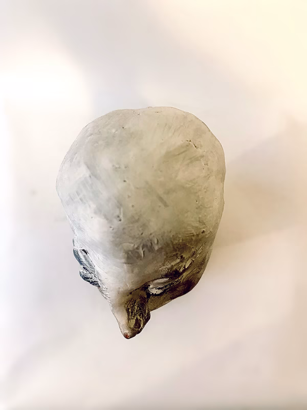 Small sculpture head / bird's eye view