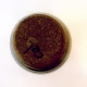 ceramic pot from below
