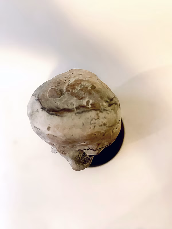 Small sculpture head / bird's eye view