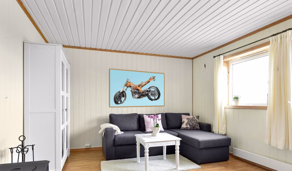 Machina Incensa I Photograph of a torched scooter in a frame in room interior