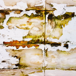 Water, moisture, damp seeped through ceiling tiles from above to create something like a painting