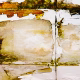 Mineral Drift Water, moisture, damp seeped through ceiling tiles from above to create something like a painting